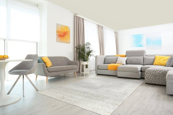 Mono Carpet , Kusový koberec Efor Shaggy 2137 Cream, 80x150, biela, obývacia izba