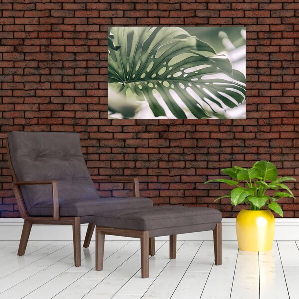 Obraz - List monštier (90x60 cm)
