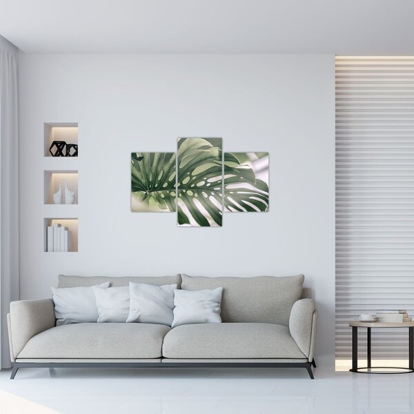 Obraz - List monštier (90x60 cm)