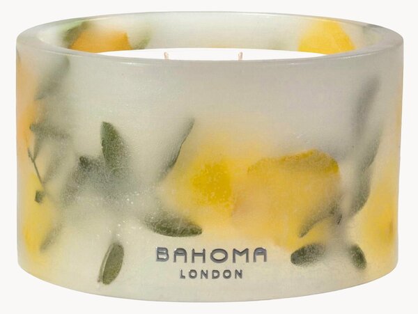 Ručne liata vonná sviečka's 3 knôtmi Botanica (Pine, Citrus, Cedar)