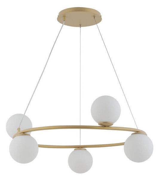 Luster na lanku GAMA 5xG9/12W/230V zlatá