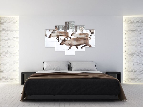 Obraz - Soby (150x105 cm)