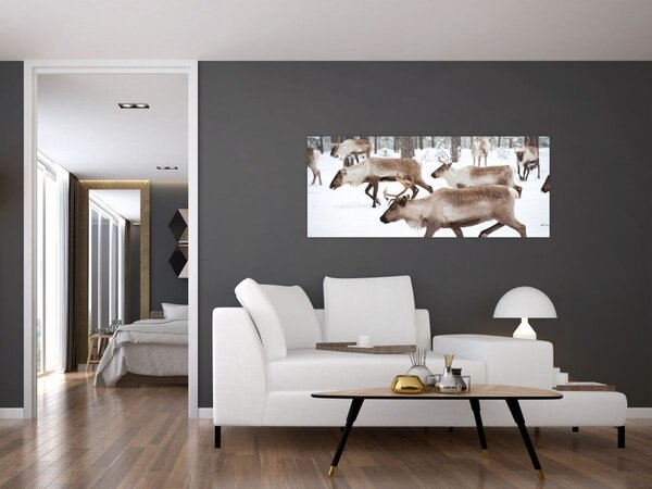 Obraz - Soby (120x50 cm)