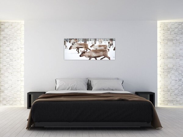 Obraz - Soby (120x50 cm)