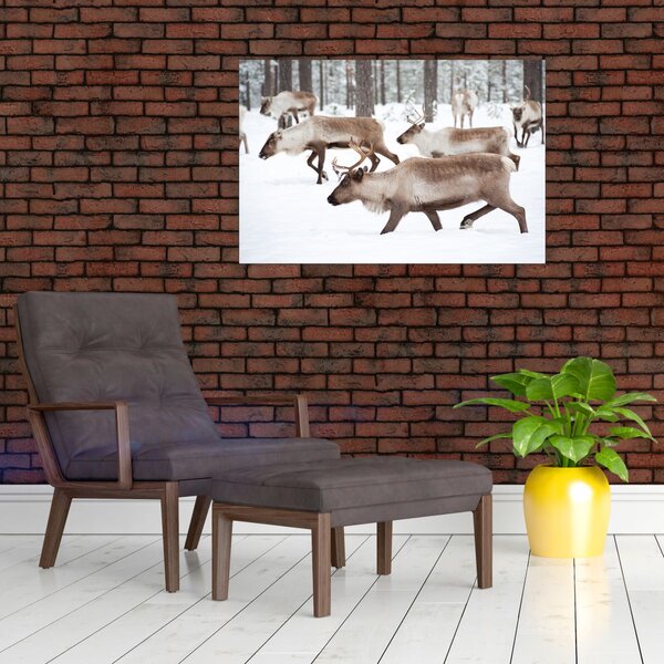 Obraz - Soby (90x60 cm)