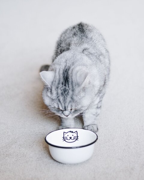 Menšia smaltovaná miska Cat