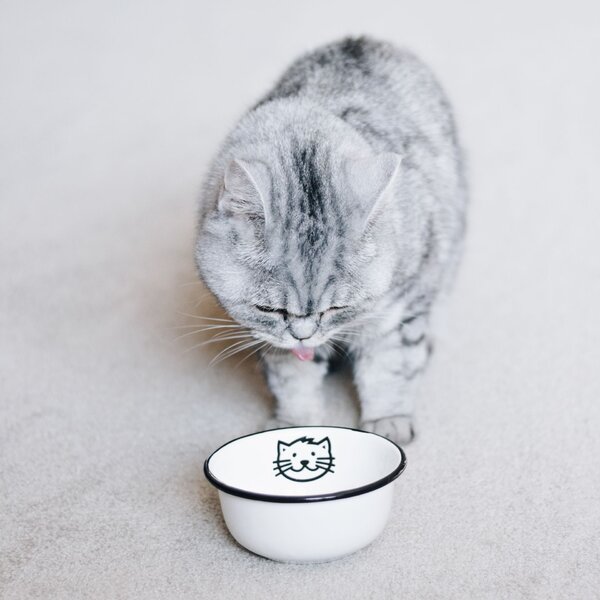 Menšia smaltovaná miska Cat