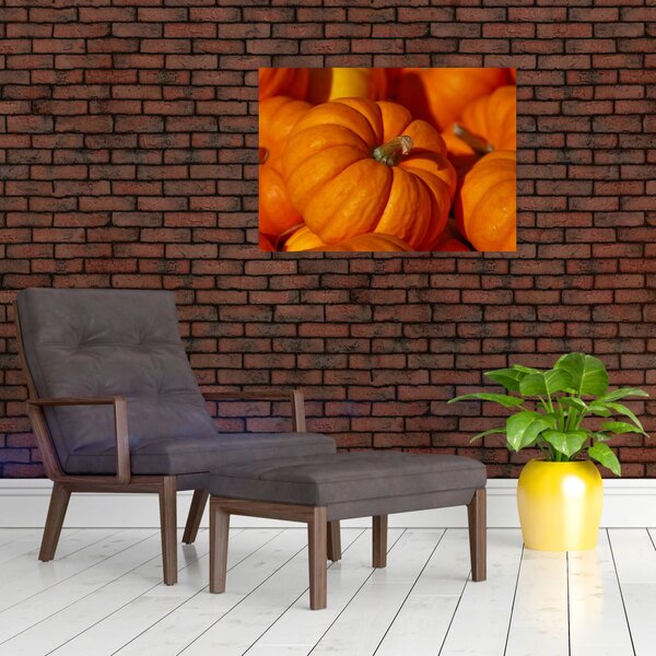 Obraz - Veľké tekvice (70x50 cm)