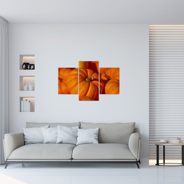 Obraz - Veľké tekvice (90x60 cm)