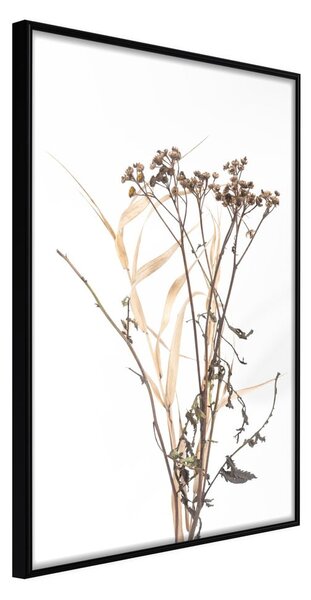 Plagát v ráme Artgeist Diary of a Herbalist, 40 x 60 cm