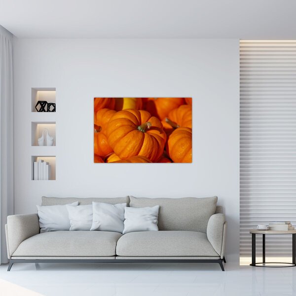 Obraz - Veľké tekvice (90x60 cm)