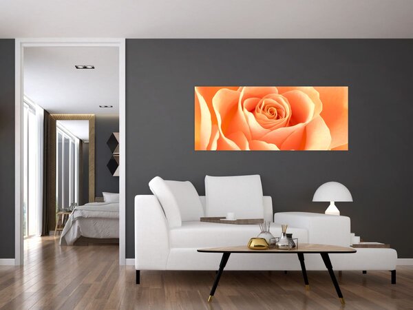 Obraz - Ruža, marhuľová farba (120x50 cm)