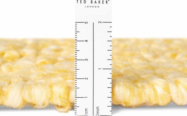 Ted Baker , Behúň Notting Hill 106348 Yellow, 80x200, žltá, obývacia izba