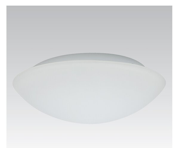 NBB Vonkajšie nástenné svietidlo KAROLINA 2xE27/60W opálové sklo IP44 N0428 + záruka 3 roky zadarmo