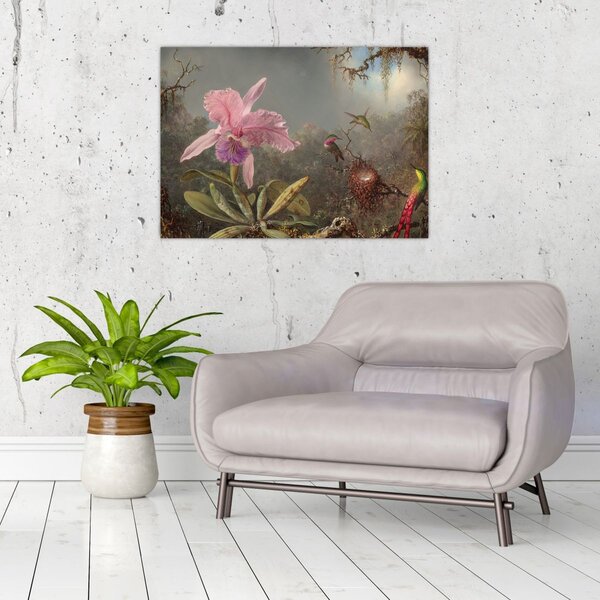 Obraz - Martin Johnson Heade, Cattleya Orchid and Three Hummingbirds, reprodukcia (70x50 cm)