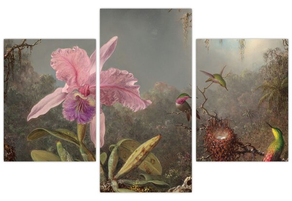 Obraz - Martin Johnson Heade, Cattleya Orchid and Three Hummingbirds, reprodukcia (90x60 cm)