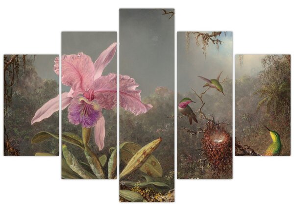 Obraz - Martin Johnson Heade, Cattleya Orchid and Three Hummingbirds, reprodukcia (150x105 cm)