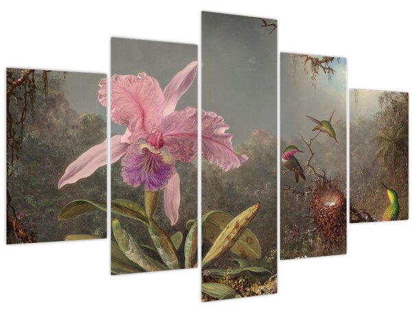 Obraz - Martin Johnson Heade, Cattleya Orchid and Three Hummingbirds, reprodukcia (150x105 cm)