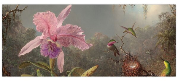 Obraz - Martin Johnson Heade, Cattleya Orchid and Three Hummingbirds, reprodukcia (120x50 cm)
