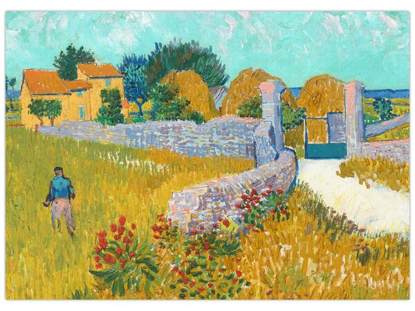 Obraz - Vincent van Gogh, Farmhouse in Provence, reprodukcia (70x50 cm)