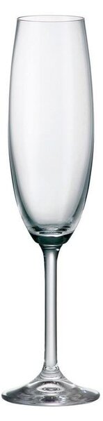 BOHEMIA COLIBRI POHÁR NA ŠAMPANSKÉ 220ML SADA 6KS