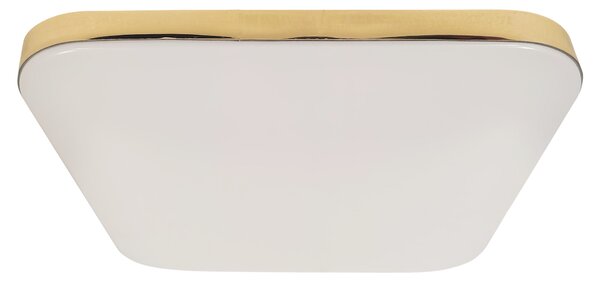 Stropné LED svietidlo Nemo, 1x LED 17w, 4000k, g