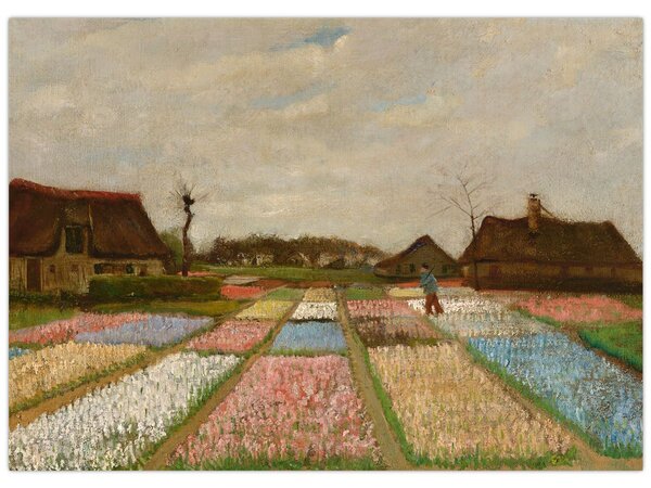 Obraz - Vincent van Gogh, Flower Beds in Holland, reprodukcia (70x50 cm)