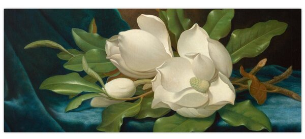 Obraz - Martin Johnson Heade, Giant Magnolias on a Blue Velvet Cloth, reprodukcia (120x50 cm)