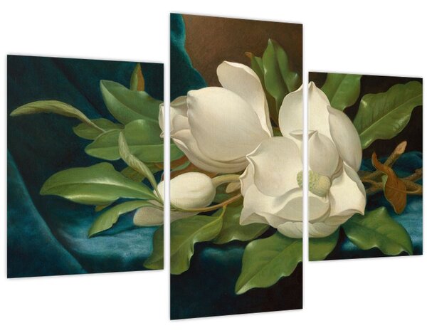 Obraz - Martin Johnson Heade, Giant Magnolias on a Blue Velvet Cloth, reprodukcia (90x60 cm)