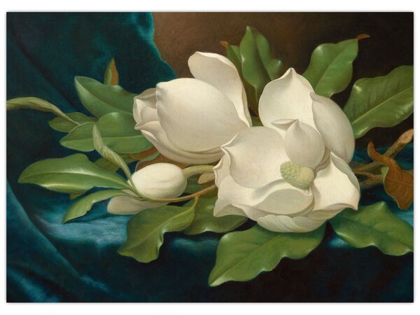 Obraz - Martin Johnson Heade, Giant Magnolias on a Blue Velvet Cloth, reprodukcia (70x50 cm)