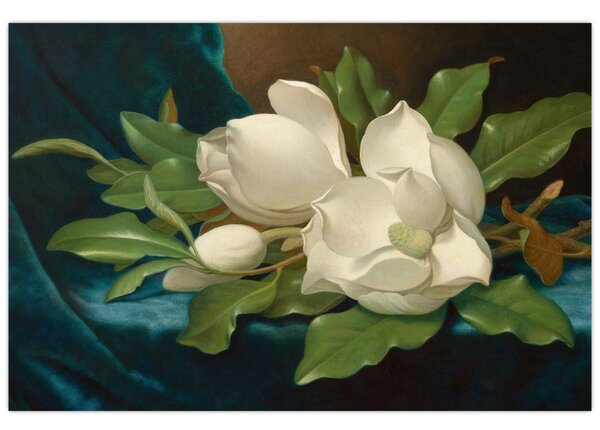 Obraz - Martin Johnson Heade, Giant Magnolias on a Blue Velvet Cloth, reprodukcia (90x60 cm)