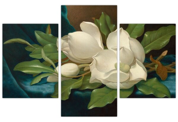 Obraz - Martin Johnson Heade, Giant Magnolias on a Blue Velvet Cloth, reprodukcia (90x60 cm)