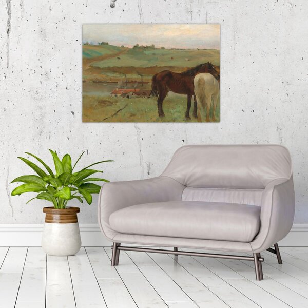 Obraz - Edgar Degas, Horses in a Meadow, reprodukcia (70x50 cm)