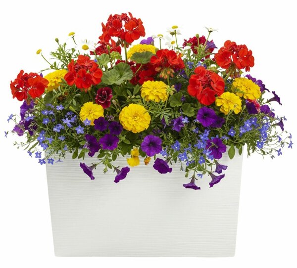 PLASTOVÝ KVETINÁČ BLOOM RIFLO 36X56X20 CM KRÉMOVÁ