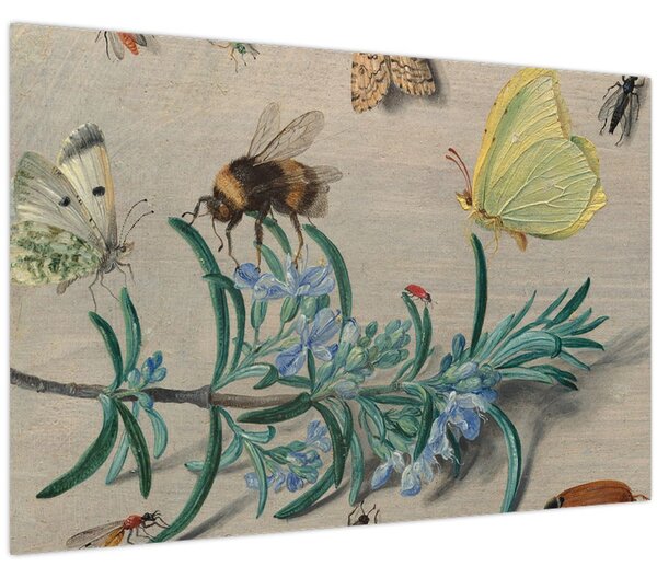 Obraz - Jan van Kessel the Elder, Insects and a Sprig of Rosemary, reprodukcia (90x60 cm)