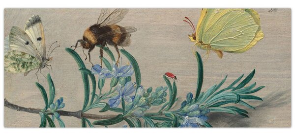 Obraz - Jan van Kessel the Elder, Insects and a Sprig of Rosemary, reprodukcia (120x50 cm)