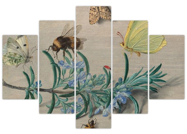 Obraz - Jan van Kessel the Elder, Insects and a Sprig of Rosemary, reprodukcia (150x105 cm)