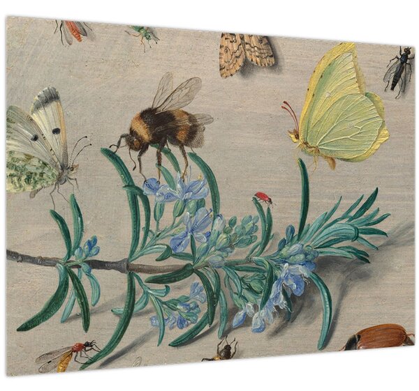Obraz - Jan van Kessel the Elder, Insects and a Sprig of Rosemary, reprodukcia (70x50 cm)
