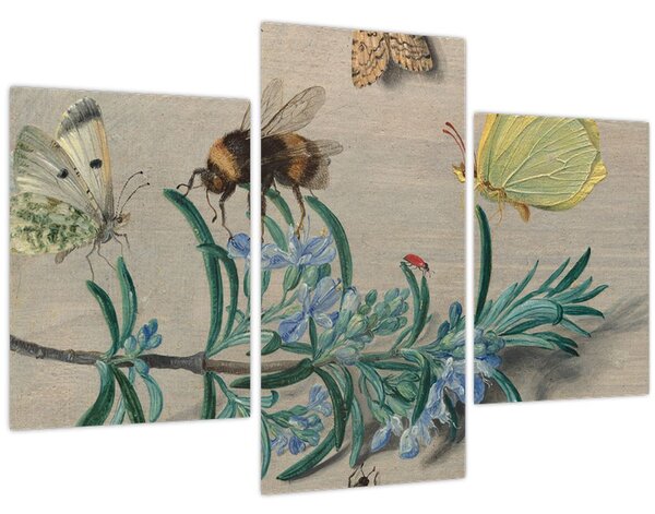 Obraz - Jan van Kessel the Elder, Insects and a Sprig of Rosemary, reprodukcia (90x60 cm)