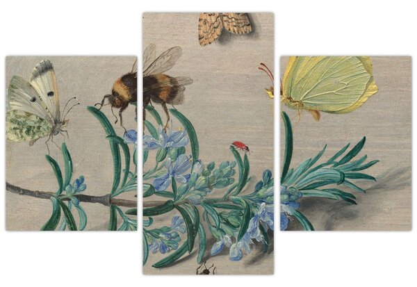 Obraz - Jan van Kessel the Elder, Insects and a Sprig of Rosemary, reprodukcia (90x60 cm)