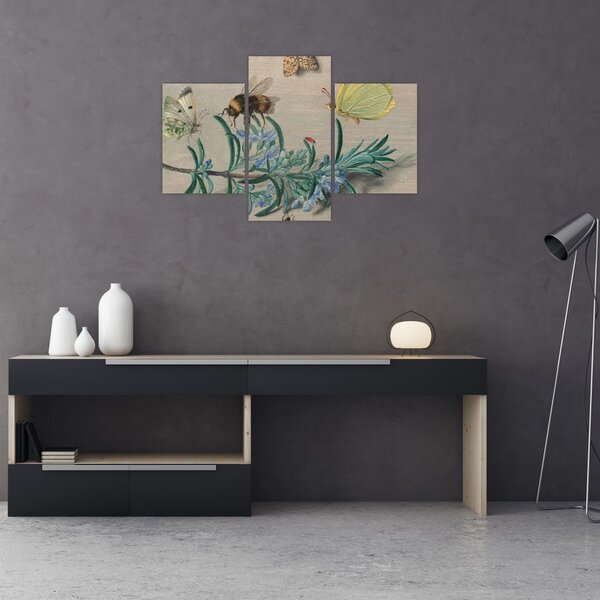 Obraz - Jan van Kessel the Elder, Insects and a Sprig of Rosemary, reprodukcia (90x60 cm)