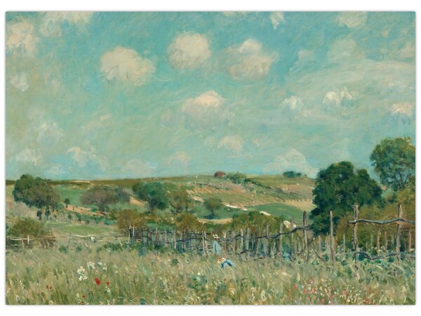Obraz - Alfred Sisley, Meadow, reprodukcia (70x50 cm)