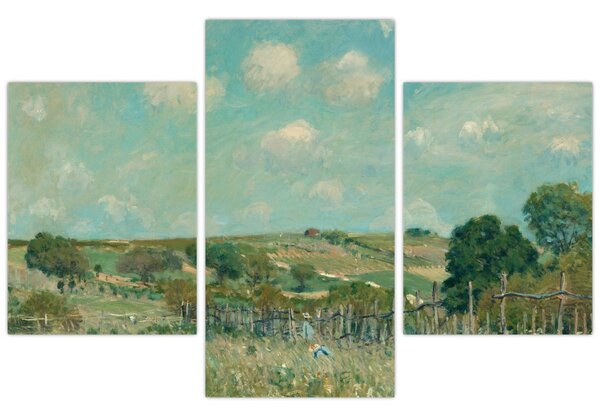 Obraz - Alfred Sisley, Meadow, reprodukcia (90x60 cm)