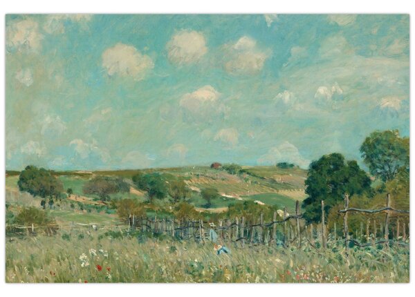 Obraz - Alfred Sisley, Meadow, reprodukcia (90x60 cm)