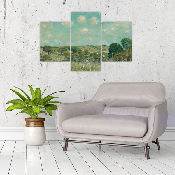 Obraz - Alfred Sisley, Meadow, reprodukcia (90x60 cm)