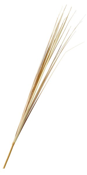 DEKORAČNÁ VETVIČKA škripík 85 cm - Kvety & kvetináče