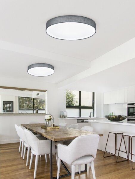 Trio - LED stmievateľné stropné svietidlo LUGANO LED/22W/230V 3000K pr. 40 cm sivé