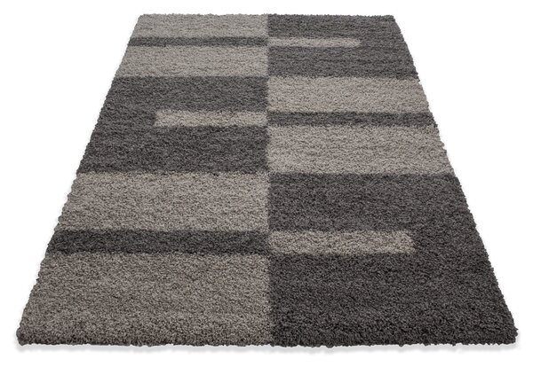 Ayyildiz , AKCIA: 80x150 cm Kusový koberec Gala 2505 taupe, hnedá, obývacia izba