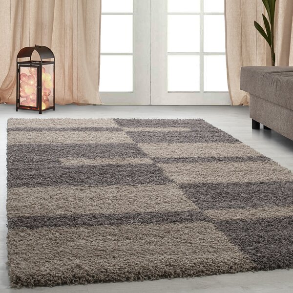 Ayyildiz , AKCIA: 80x150 cm Kusový koberec Gala 2505 taupe, hnedá, obývacia izba