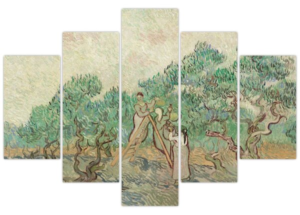 Obraz - Vincent van Gogh, The Olive Orchard, reprodukcia (150x105 cm)